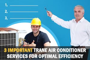 Trane Air Conditioner Services for Optimal Effeciency
